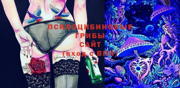 соль курить ск Алзамай