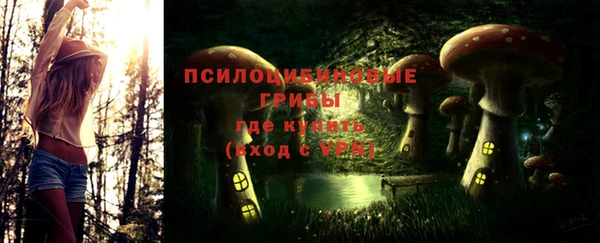 прущие грибы Алексин