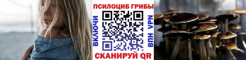 Псилоцибиновые грибы GOLDEN TEACHER  Сясьстрой 