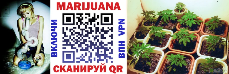 Канабис VHQ  Сясьстрой 